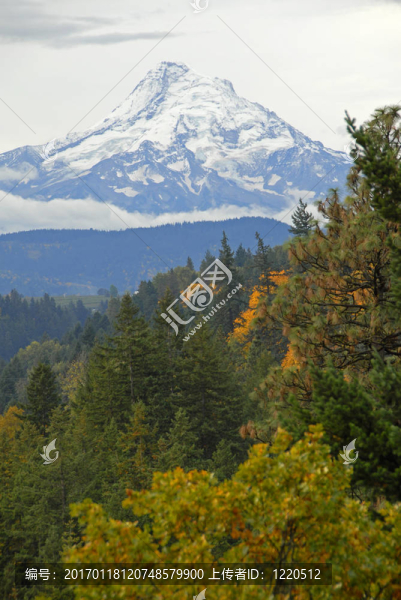 胡德山