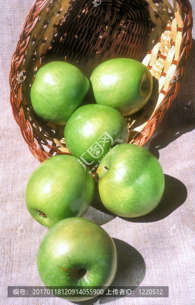 蘋果和籃子在畫布上