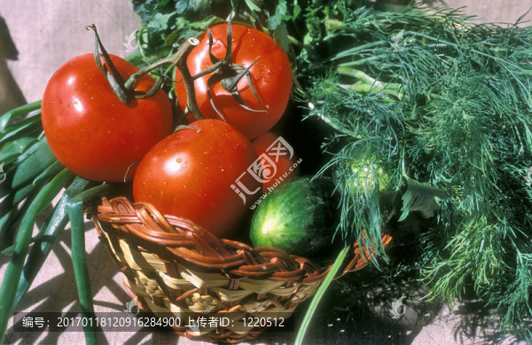 蔬菜和野菜