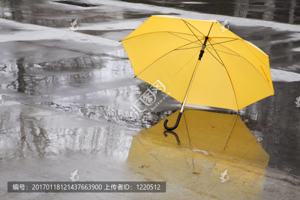 黃色的雨傘