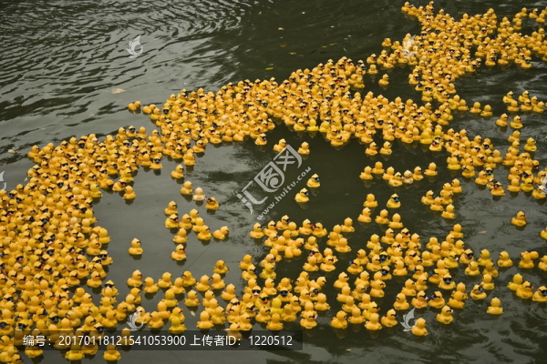 鴨子馬拉松（2）