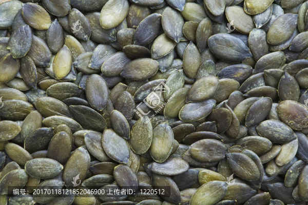 南瓜籽