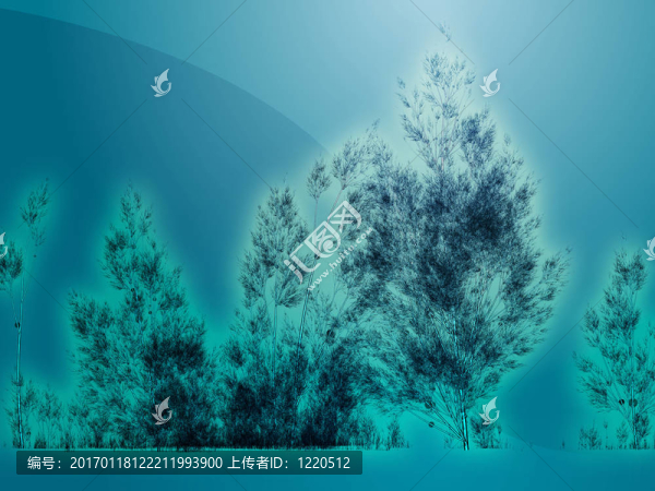 白樺樹的插圖
