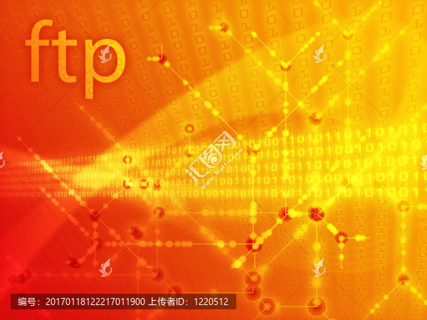 FTP數(shù)據(jù)說(shuō)明