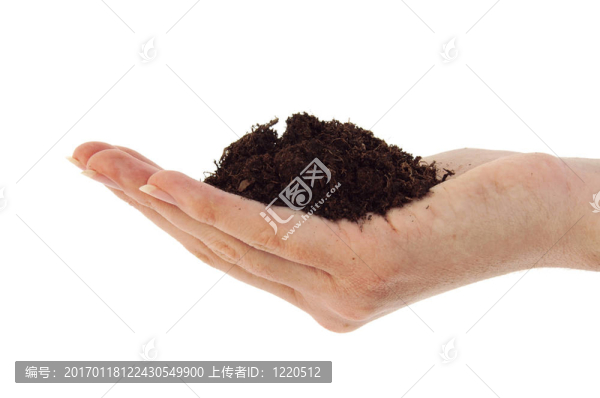 土壤在手
