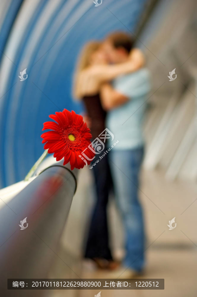 戀人們和Gerbera