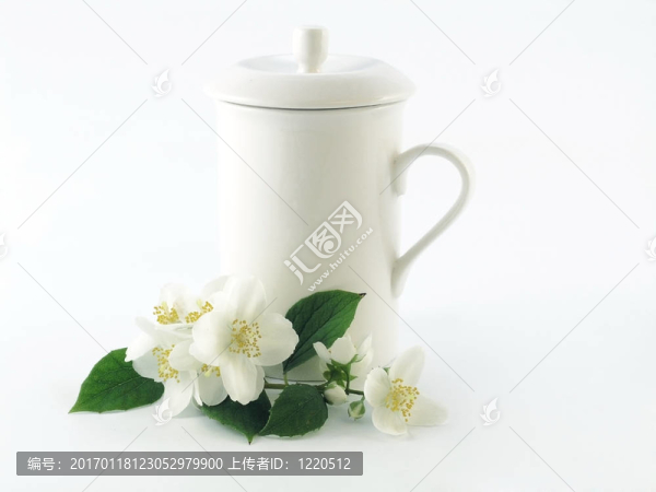系列花卉：鮮茉莉科