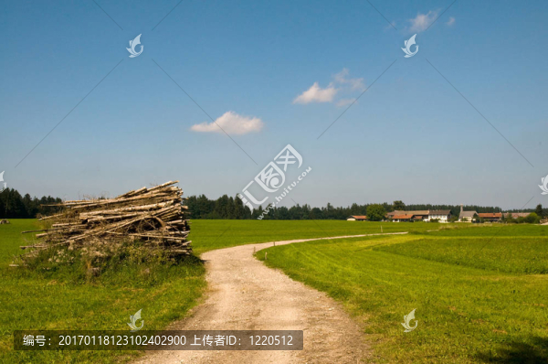 農(nóng)村的夏天
