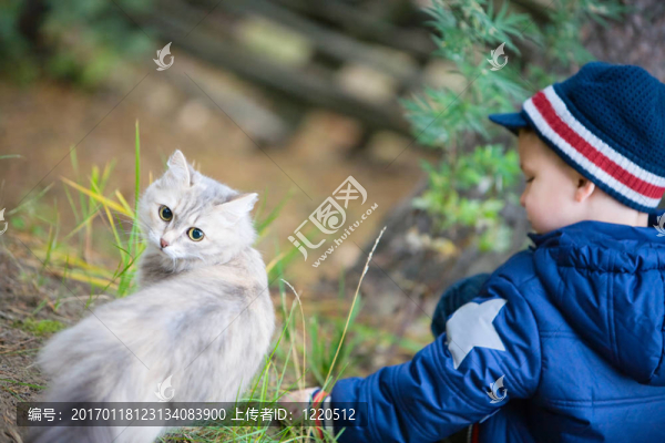 男孩與貓