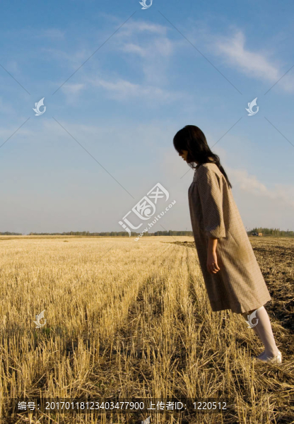 墜落的女孩2