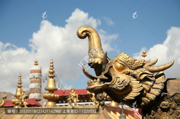 金龍
