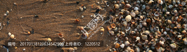 沙灘上的彩彈