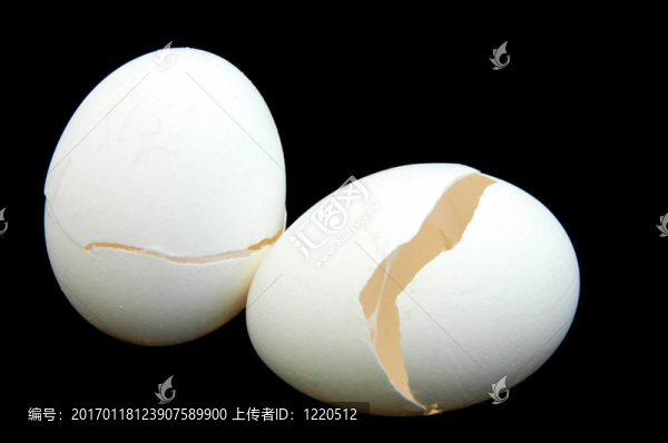 蛋殼-匯圖網(wǎng) www.fosd68.com 蛋殼