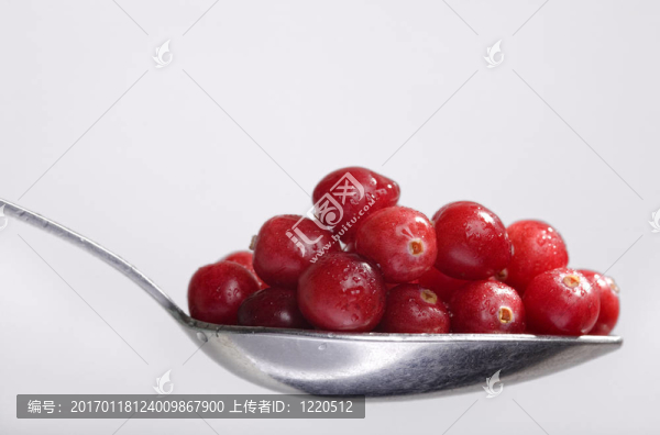 蔓越莓的滿勺