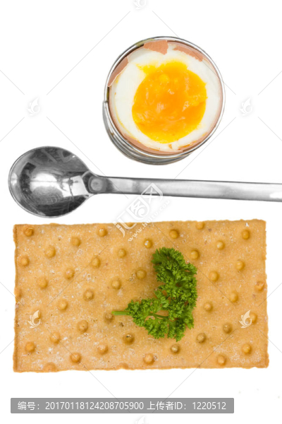 在一個固定的一個棕色的蛋