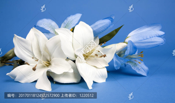 人工莉莉