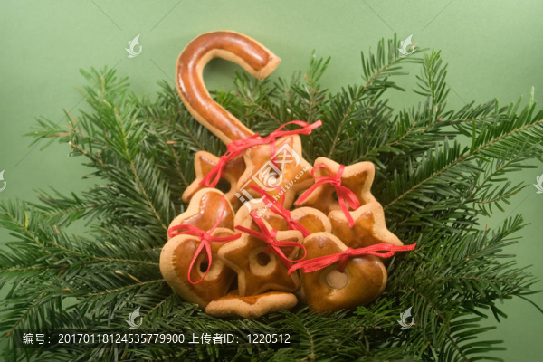 杉木枝上的餅干
