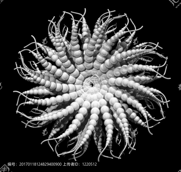 外來生物