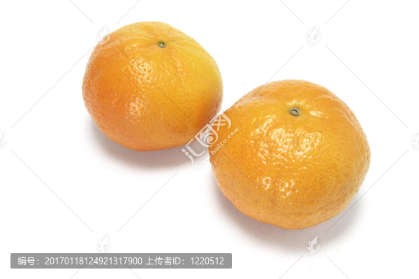 中國柑橘