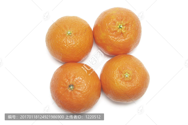 中國(guó)柑橘