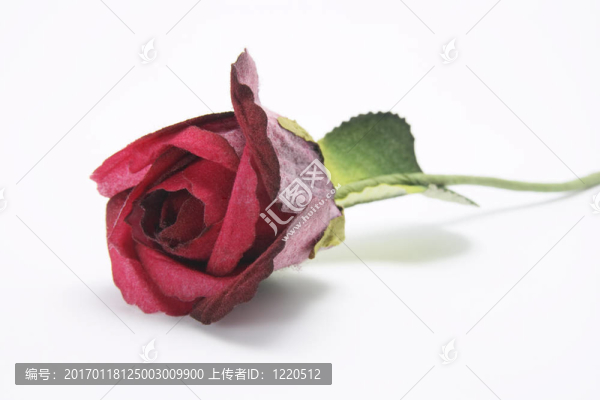 紅玫瑰