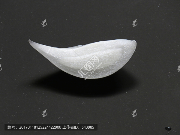 一片洋蔥