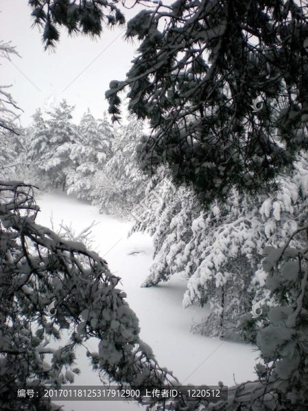 下雪的冬天