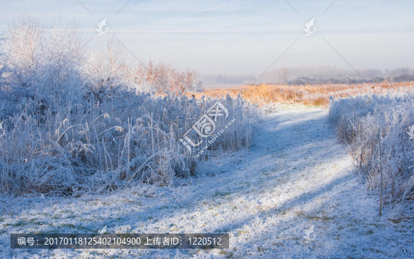 藍(lán)色的雪景；白色和黃色