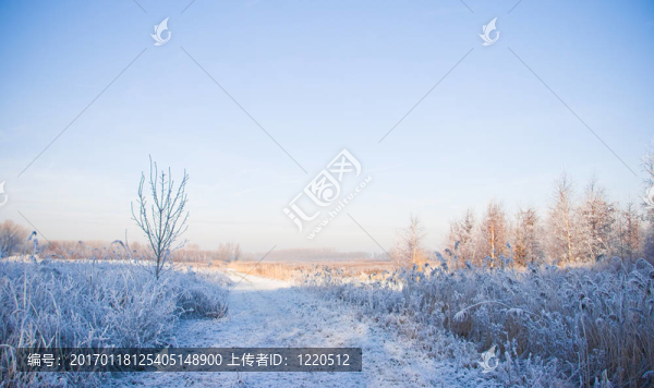 雪景-匯圖網(wǎng) www.fosd68.com 雪景