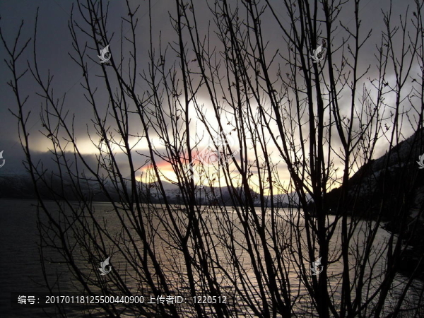 天堂之光透過樹枝
