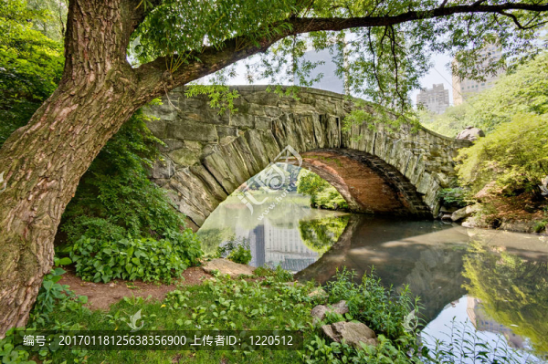 橋在中央公園