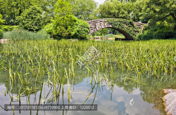 橋在中央公園
