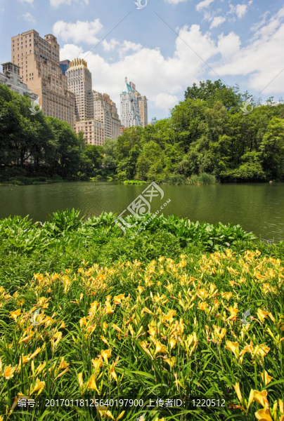 中央公園和紐約-匯圖網(wǎng) www.fosd68.com 中央公園和紐約