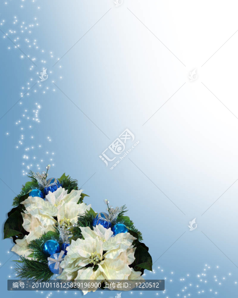 圣誕節(jié)一品紅在藍色邊框