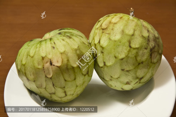 兩集散地