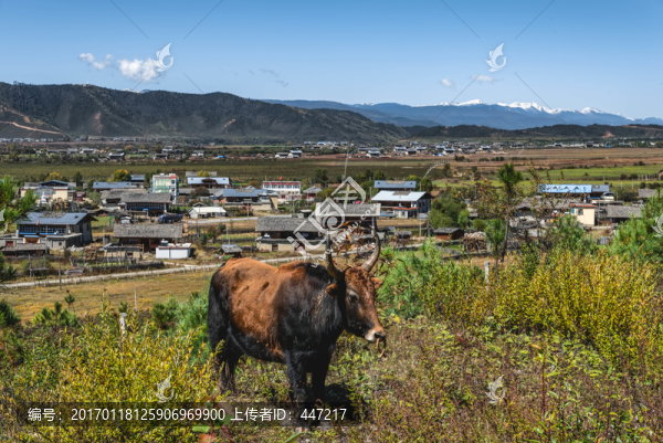 香格里拉風光