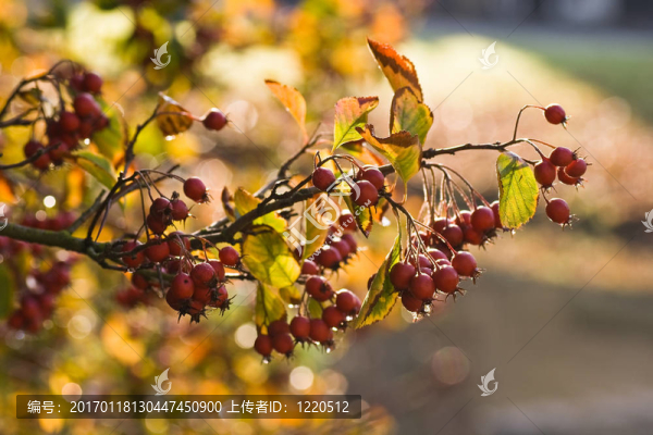 octobercolors