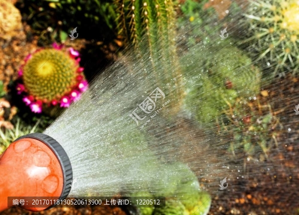 花園水管灑水