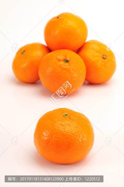 Tangerine夜店集團(tuán)