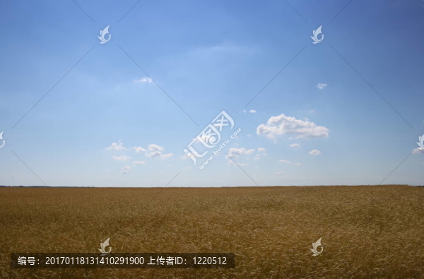 糧田