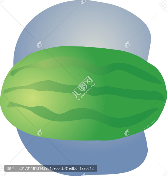 西瓜果實(shí)的插圖