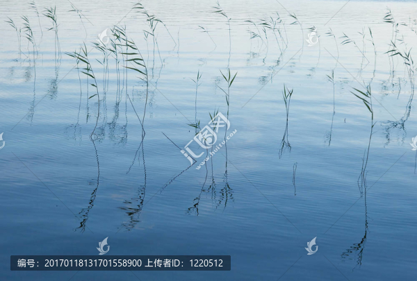 藍色的水域