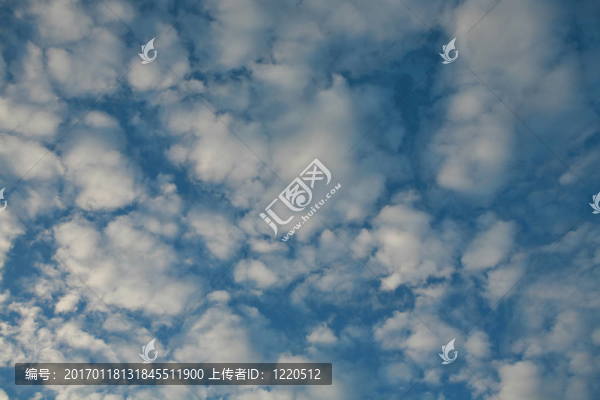 高積云鯖魚的天空