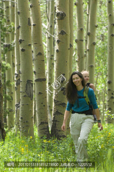 在白楊樹林的母親和女兒