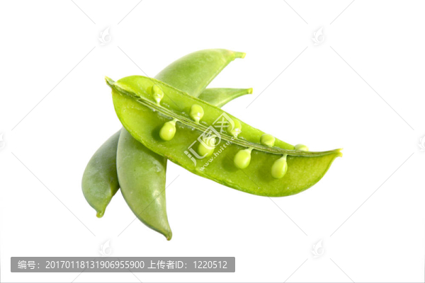 豌豆