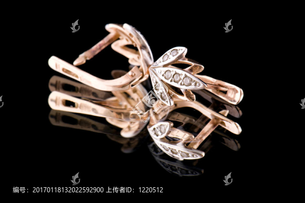 耳環(huán)上的耳環(huán)