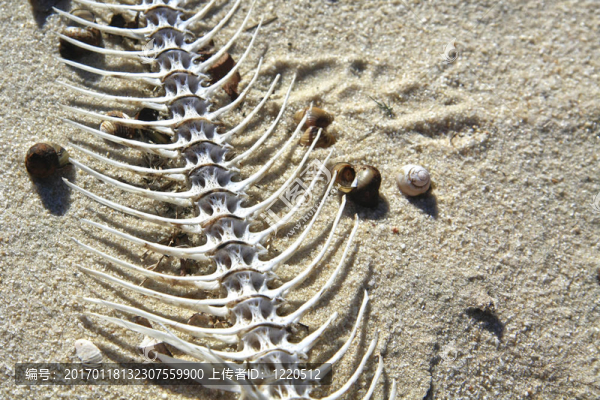 reminents-匯圖網(wǎng) www.fosd68.com reminents