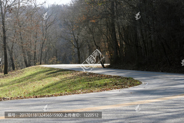 彎曲的路