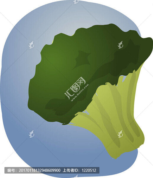 花椰菜的插圖
