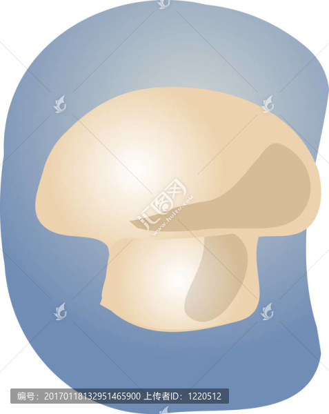 蘑菇的插圖